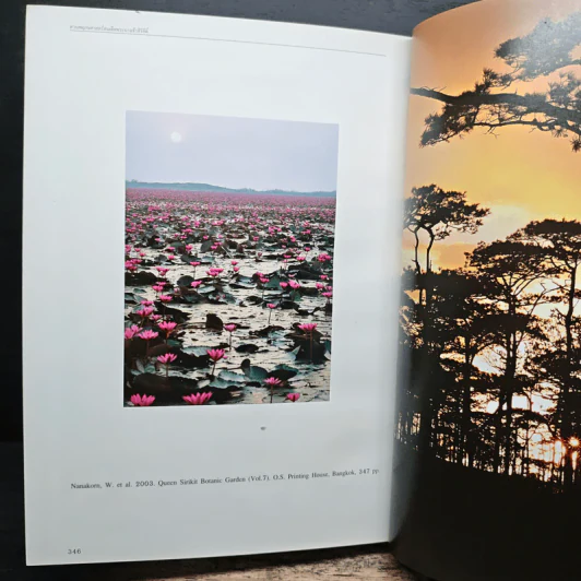 สวนพฤกษศาสตร์สมเด็จพระนางเจ้าสิริกิติ์ เล่ม 7 - องค์การสวนพฤกษศาสตร์ สำนักนายกรัฐมนตรี รูปที่ 10