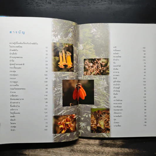 สวนพฤกษศาสตร์สมเด็จพระนางเจ้าสิริกิติ์ เล่ม 3 - องค์การสวนพฤกษศาสตร์ สำนักนายกรัฐมนตรี รูปที่ 6