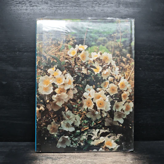 สวนพฤกษศาสตร์สมเด็จพระนางเจ้าสิริกิติ์ เล่ม 4 - องค์การสวนพฤกษศาสตร์ สำนักนายกรัฐมนตรี รูปที่ 2