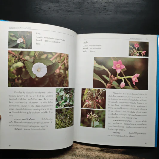 สวนพฤกษศาสตร์สมเด็จพระนางเจ้าสิริกิติ์ เล่ม 4 - องค์การสวนพฤกษศาสตร์ สำนักนายกรัฐมนตรี รูปที่ 9