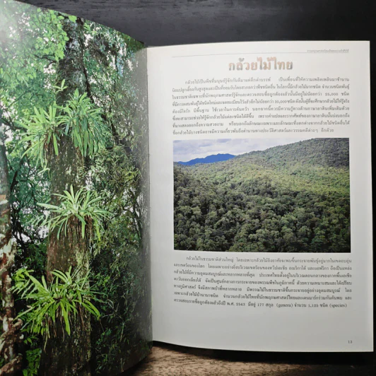 สวนพฤกษศาสตร์สมเด็จพระนางเจ้าสิริกิติ์ เล่ม 6 กล้วยไม้ไทย - องค์การสวนพฤกษศาสตร์ สำนักนายกรัฐมนตรี รูปที่ 9