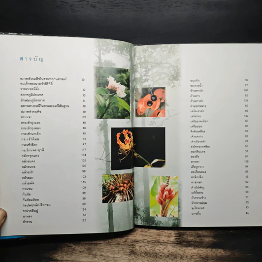 สวนพฤกษศาสตร์สมเด็จพระนางเจ้าสิริกิติ์ เล่ม 2 - องค์การสวนพฤกษศาสตร์ สำนักนายกรัฐมนตรี รูปที่ 7
