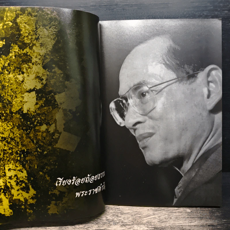พ่อหลวงพ่อของแผ่นดิน รูปที่ 8