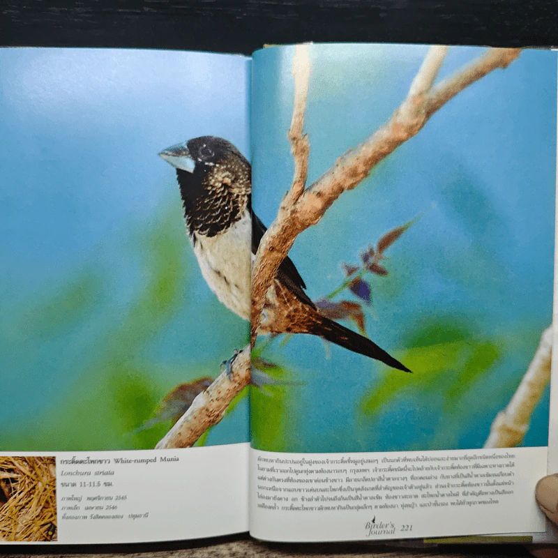 Birder's Journal รูปที่ 9