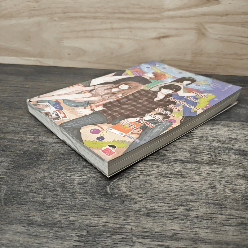 Triple Nine Apartment ดีกรีรักร้ายหลอมละลายหัวใจ - ลูกชุบ รูปที่ 3