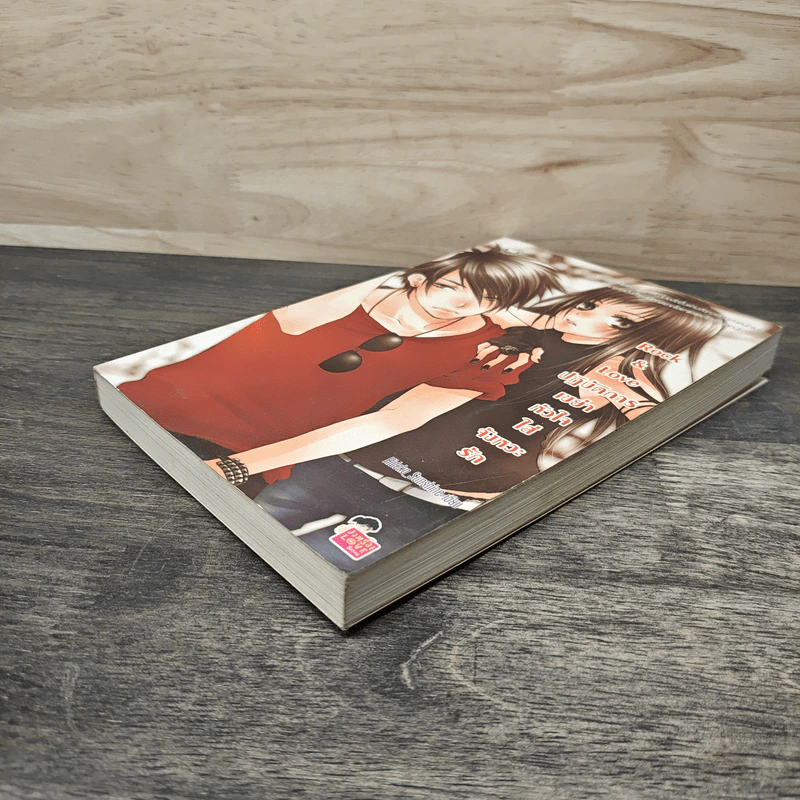 Rock&Love ปฏิบัติการเขย่าหัวใจใส่จังหวะรัก - Hideko_Sunshine รูปที่ 3