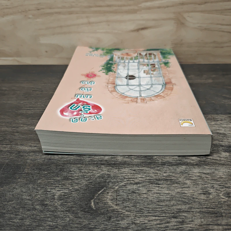 สะดุดรักยายถังข้าว เล่ม 1 - Jiu Xiao Qi, พัดลม รูปที่ 4