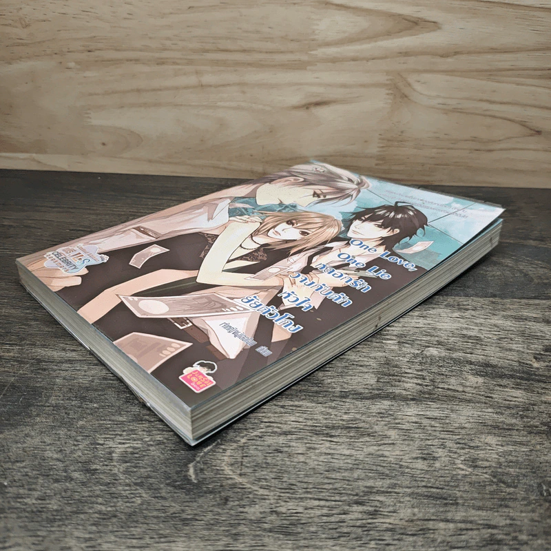 One Love, One Lie หลอกรักวางกับดักหัวใจยัยตัวโกง - เจ้าหญิงผู้เลอโฉม รูปที่ 3