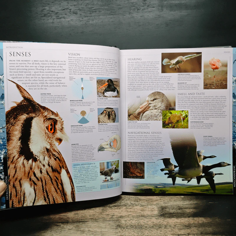 Illustrated Encyclopedia of Birds รูปที่ 10