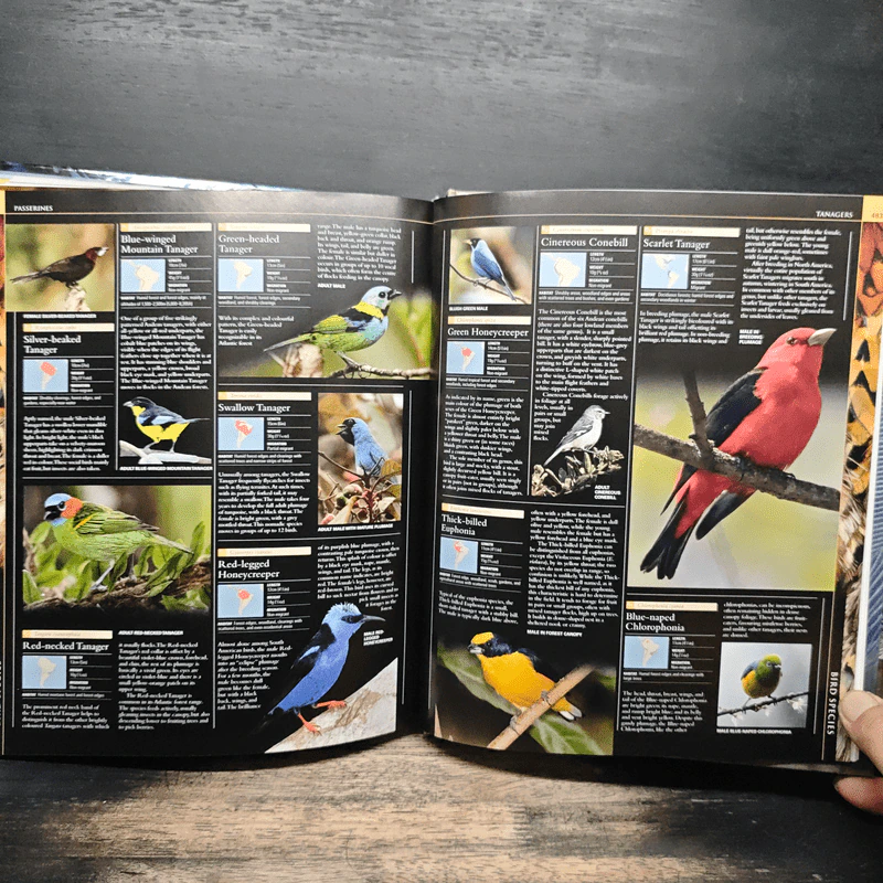 Illustrated Encyclopedia of Birds รูปที่ 11