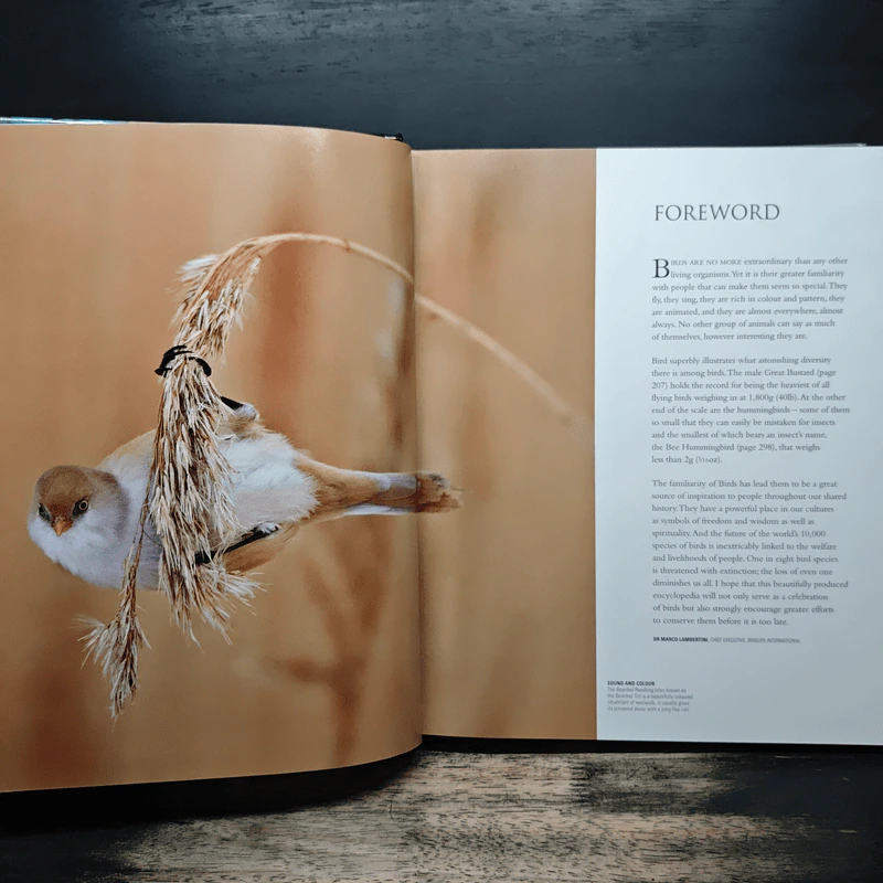Illustrated Encyclopedia of Birds รูปที่ 7