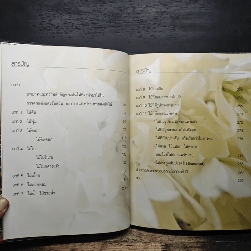 พรรณไม้เพื่อการตกแต่ง Plants For Decoration - รองศาสตราจารย์พรรณเพ็ญ ฉายปรีชา รูปที่ 6