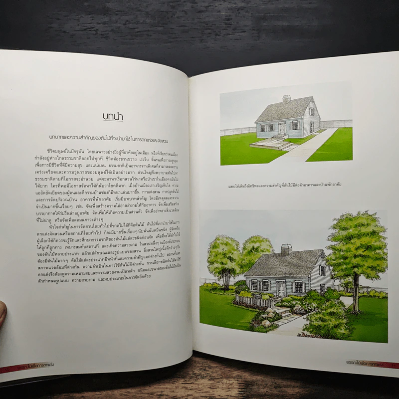 พรรณไม้เพื่อการตกแต่ง Plants For Decoration - รองศาสตราจารย์พรรณเพ็ญ ฉายปรีชา รูปที่ 7