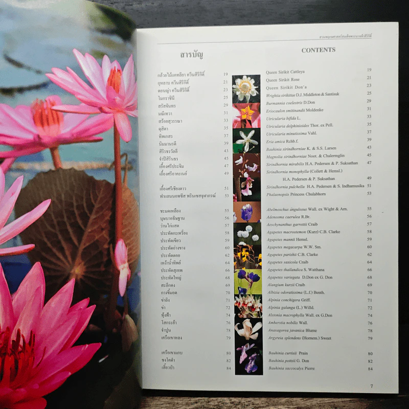 สวนพฤกษศาสตร์สมเด็จพระนางเจ้าสิริกิติ์ เล่ม 7 - องค์การสวนพฤกษศาสตร์ สำนักนายกรัฐมนตรี รูปที่ 6
