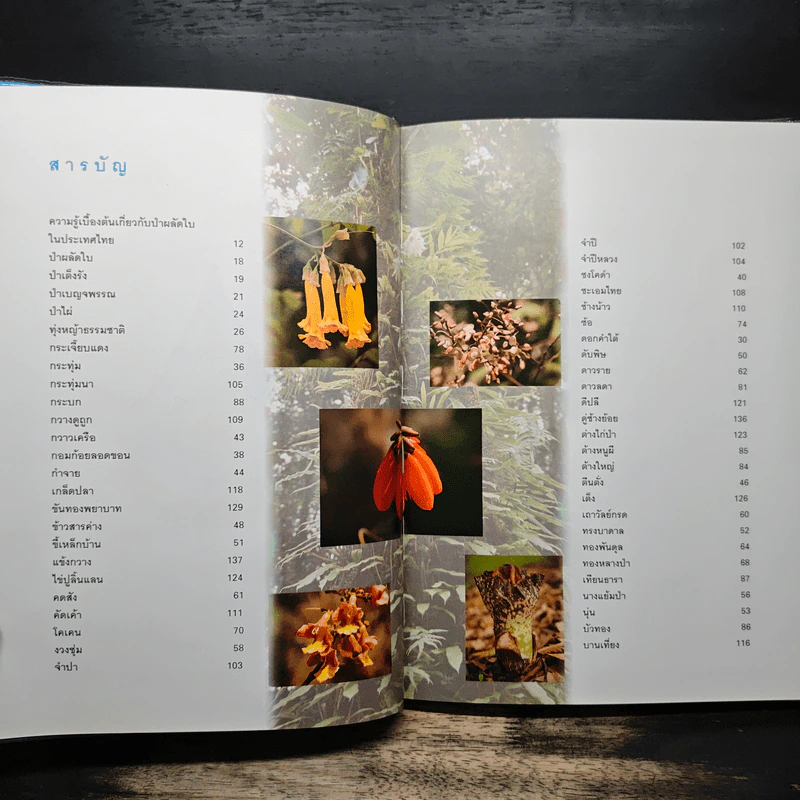 สวนพฤกษศาสตร์สมเด็จพระนางเจ้าสิริกิติ์ เล่ม 3 - องค์การสวนพฤกษศาสตร์ สำนักนายกรัฐมนตรี รูปที่ 6