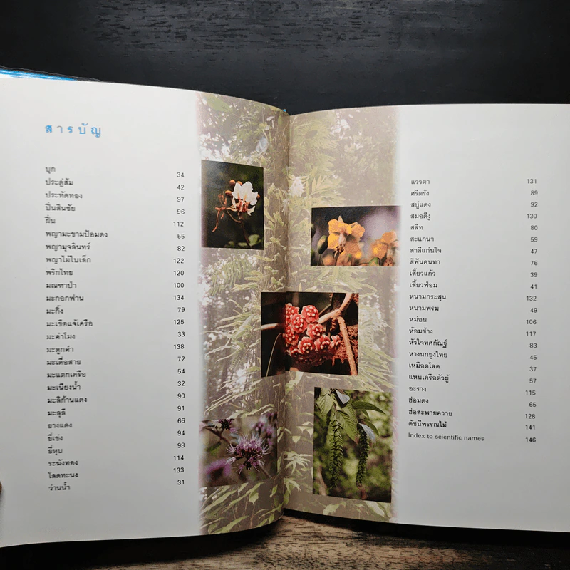 สวนพฤกษศาสตร์สมเด็จพระนางเจ้าสิริกิติ์ เล่ม 3 - องค์การสวนพฤกษศาสตร์ สำนักนายกรัฐมนตรี รูปที่ 7