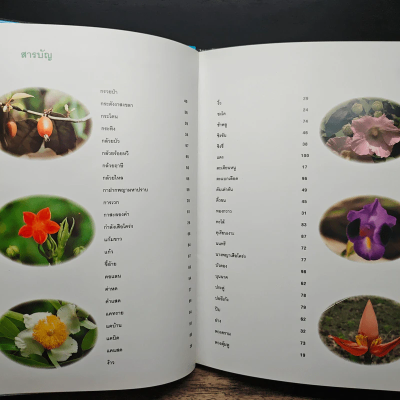 สวนพฤกษศาสตร์สมเด็จพระนางเจ้าสิริกิติ์ เล่ม 1 - องค์การสวนพฤกษศาสตร์ สำนักนายกรัฐมนตรี รูปที่ 9