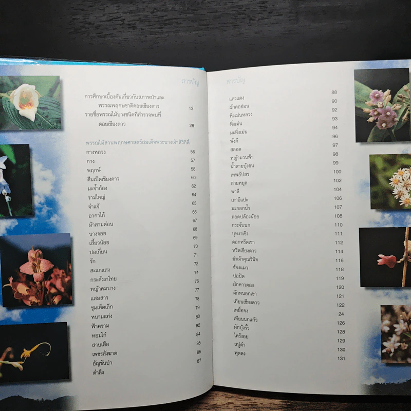 สวนพฤกษศาสตร์สมเด็จพระนางเจ้าสิริกิติ์ เล่ม 5 - องค์การสวนพฤกษศาสตร์ สำนักนายกรัฐมนตรี รูปที่ 7
