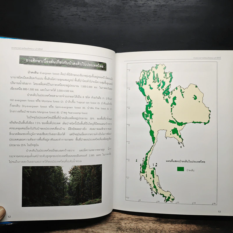 สวนพฤกษศาสตร์สมเด็จพระนางเจ้าสิริกิติ์ เล่ม 4 - องค์การสวนพฤกษศาสตร์ สำนักนายกรัฐมนตรี รูปที่ 8