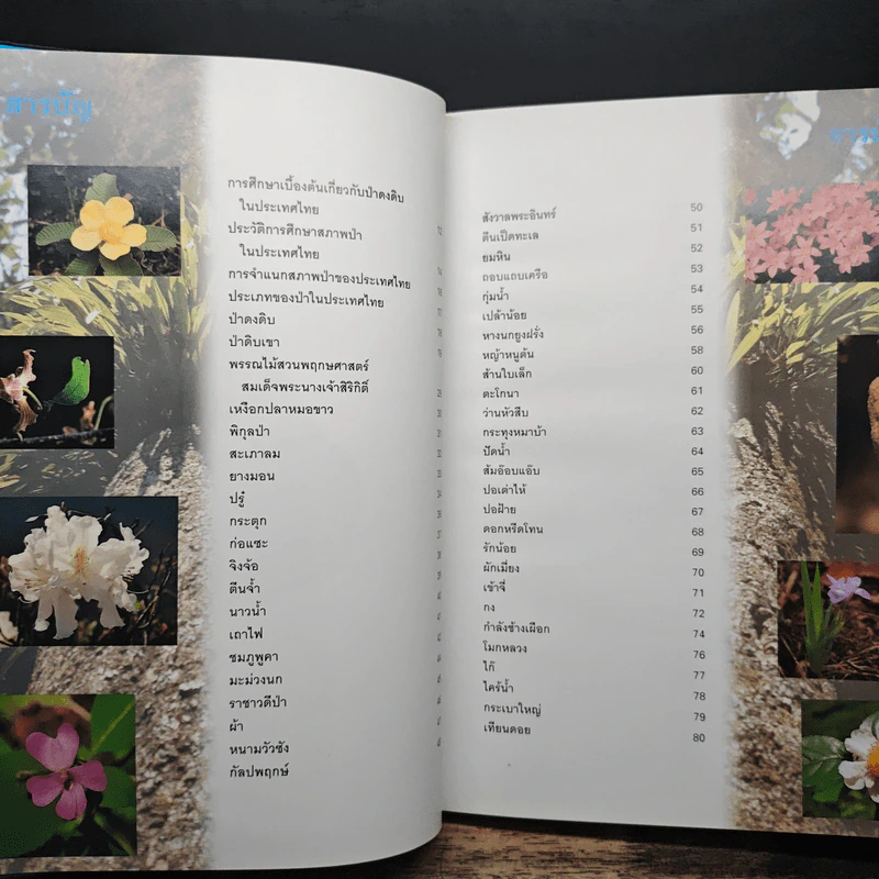 สวนพฤกษศาสตร์สมเด็จพระนางเจ้าสิริกิติ์ เล่ม 4 - องค์การสวนพฤกษศาสตร์ สำนักนายกรัฐมนตรี รูปที่ 6