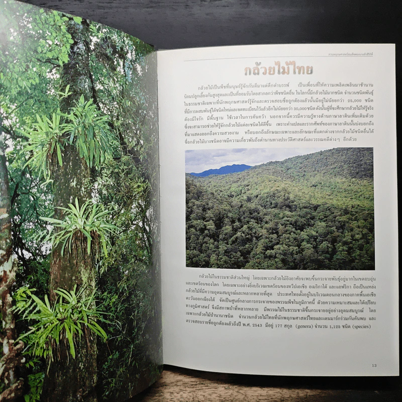 สวนพฤกษศาสตร์สมเด็จพระนางเจ้าสิริกิติ์ เล่ม 6 กล้วยไม้ไทย - องค์การสวนพฤกษศาสตร์ สำนักนายกรัฐมนตรี รูปที่ 9