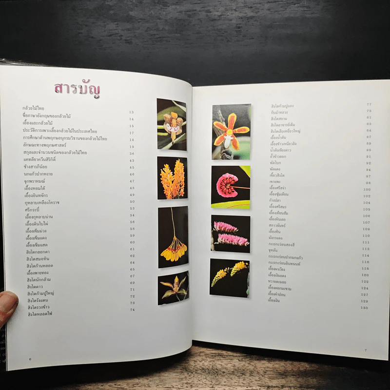 สวนพฤกษศาสตร์สมเด็จพระนางเจ้าสิริกิติ์ เล่ม 6 กล้วยไม้ไทย - องค์การสวนพฤกษศาสตร์ สำนักนายกรัฐมนตรี รูปที่ 6