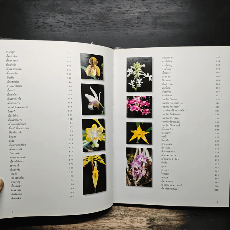 สวนพฤกษศาสตร์สมเด็จพระนางเจ้าสิริกิติ์ เล่ม 6 กล้วยไม้ไทย - องค์การสวนพฤกษศาสตร์ สำนักนายกรัฐมนตรี รูปที่ 7