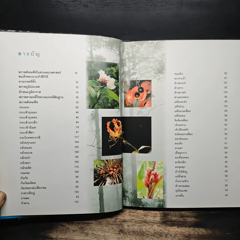 สวนพฤกษศาสตร์สมเด็จพระนางเจ้าสิริกิติ์ เล่ม 2 - องค์การสวนพฤกษศาสตร์ สำนักนายกรัฐมนตรี รูปที่ 7