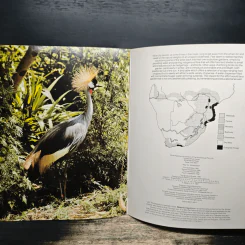 Birds of Southern Africa รูปที่ 8