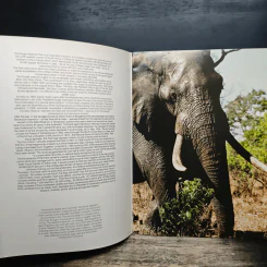 The KRUGER National Park รูปที่ 6