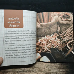 มหัศจรรย์สมุนไพรจีน รูปที่ 9