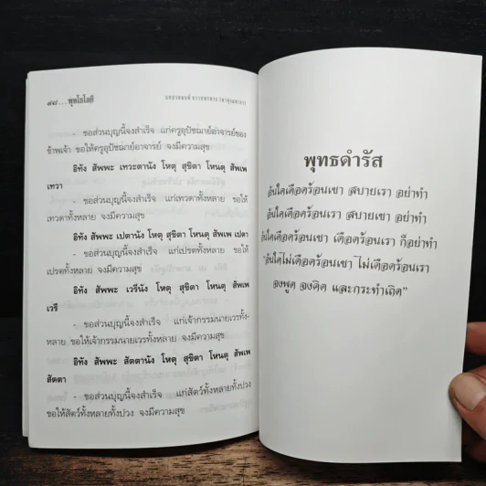 โพชฌงค์ : พุทธวิธีเสริมสุขภาพ - พระพรหมคุณาภรณ์ (ป.อ.ปยุตโต) รูปที่ 8