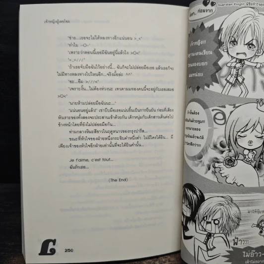 Guardian Knight พิชิตหัวใจคุณชายอัศวิน - เจ้าหญิงผู้เลอโฉม รูปที่ 9