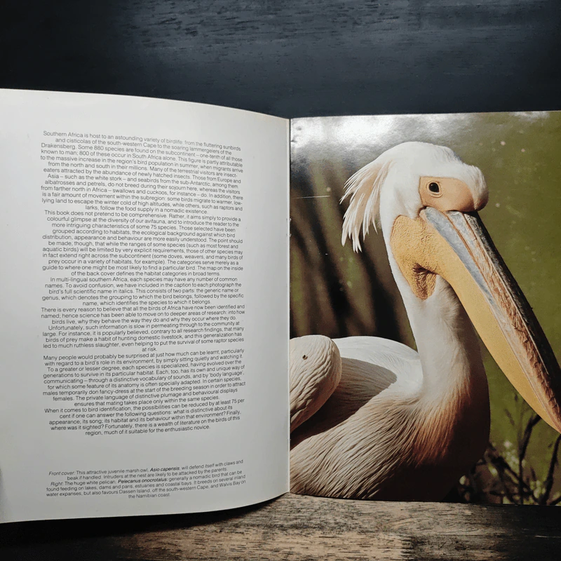 Birds of Southern Africa รูปที่ 6