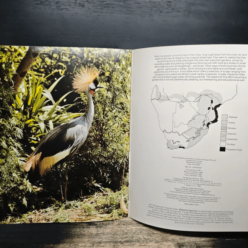 Birds of Southern Africa รูปที่ 8