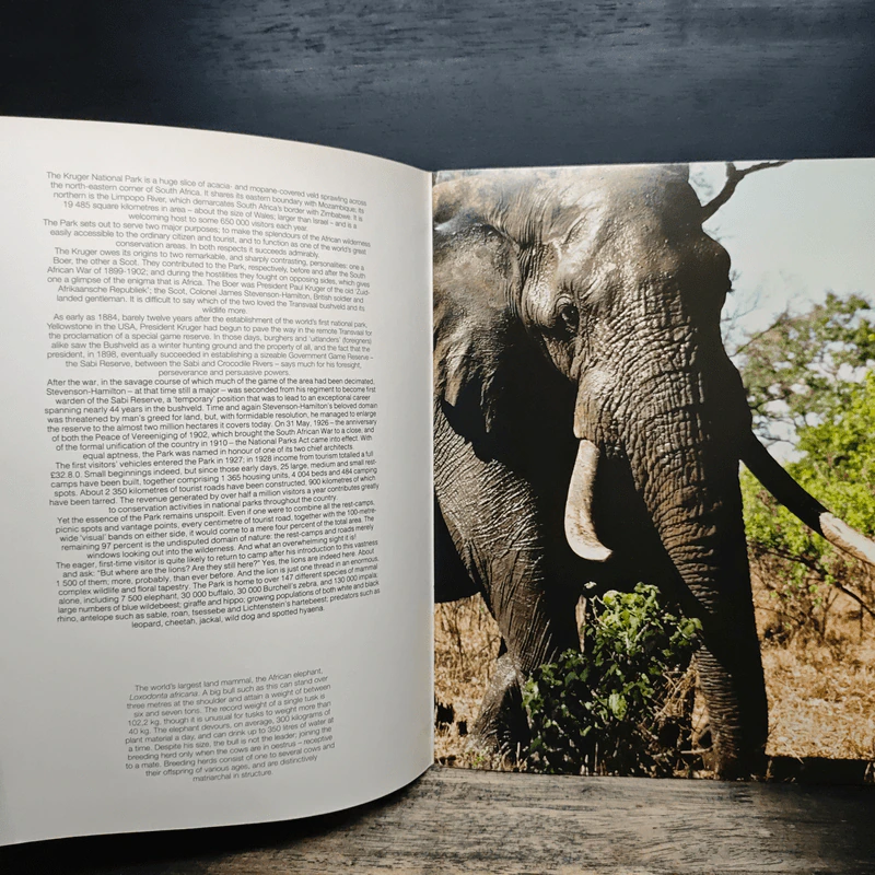 The KRUGER National Park รูปที่ 6