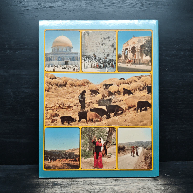 The Holy Land in Colour - Sami Awwad รูปที่ 2