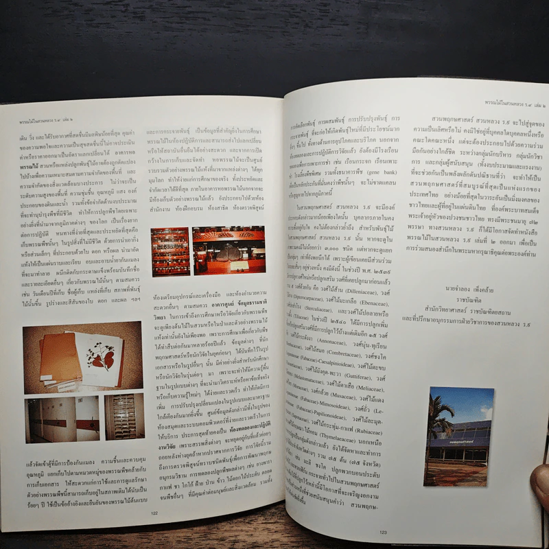 พรรณไม้ในสวนหลวง ร.9 เล่ม 2 - รศ.ดร.อิศรา วงศ์ข้าหลวง รูปที่ 9