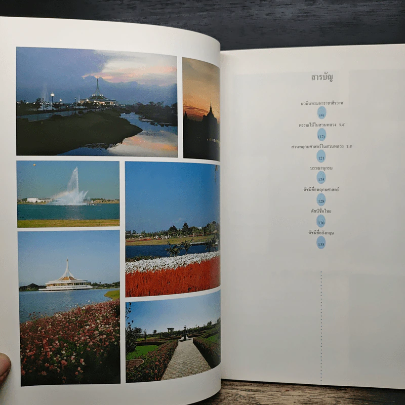 พรรณไม้ในสวนหลวง ร.9 เล่ม 2 - รศ.ดร.อิศรา วงศ์ข้าหลวง รูปที่ 7