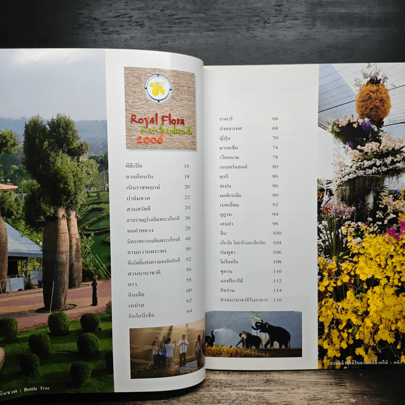มหัศจรรย์ ราชพฤกษ์ 2549 รูปที่ 7
