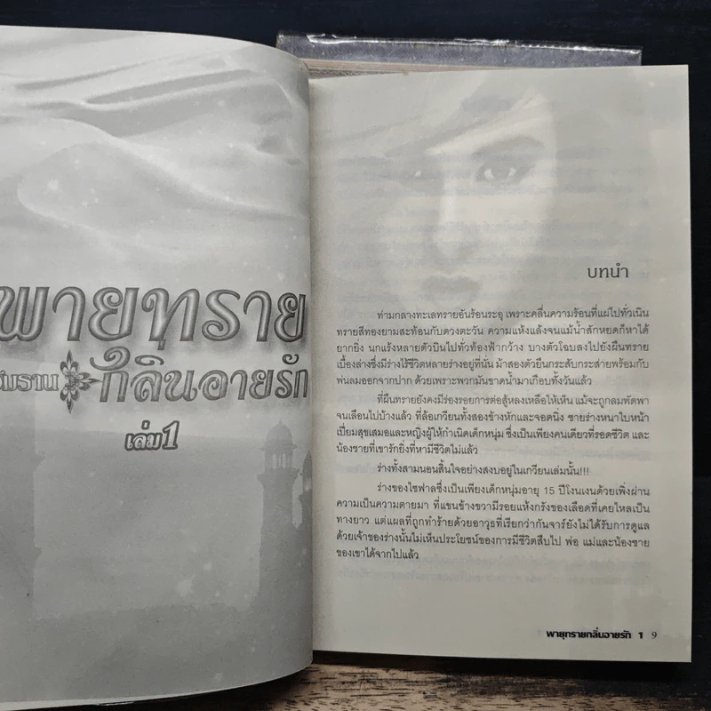 พายุทรายกลิ่นอายรัก 2 เล่มจบ - อัมราน รูปที่ 7