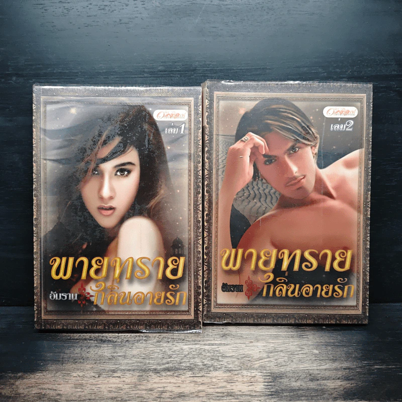 พายุทรายกลิ่นอายรัก 2 เล่มจบ - อัมราน รูปที่ 1