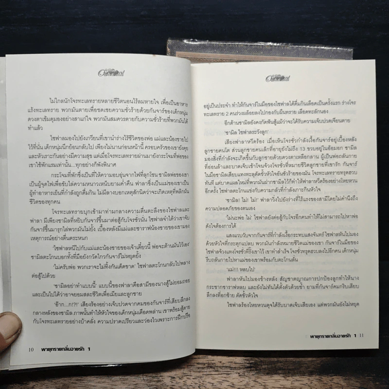 พายุทรายกลิ่นอายรัก 2 เล่มจบ - อัมราน รูปที่ 8