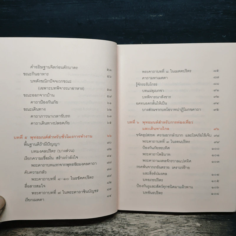 สวดเป็นเห็นผลทันตา - วรลักษณ์ ผ่องสุขสวัสดิ์, รอยโทวิรัช นุโยค รูปที่ 8