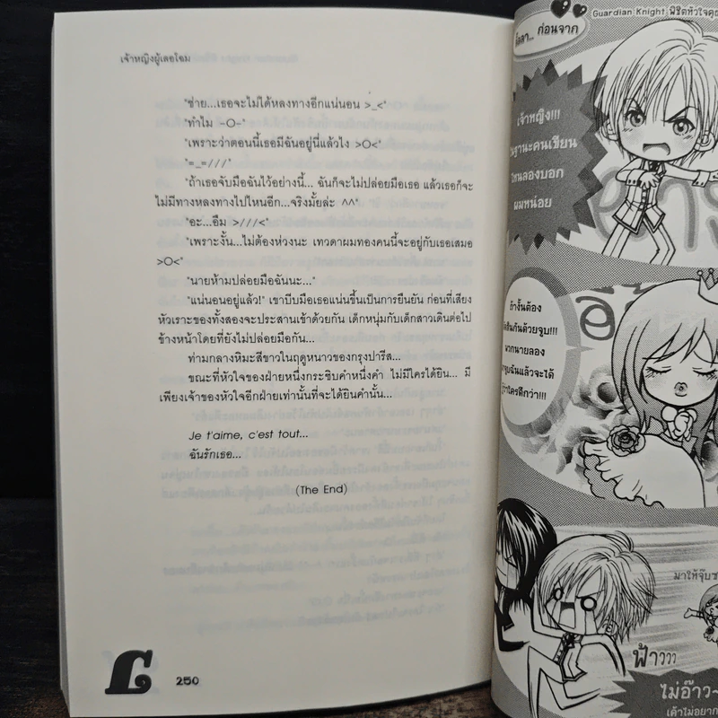 Guardian Knight พิชิตหัวใจคุณชายอัศวิน - เจ้าหญิงผู้เลอโฉม รูปที่ 9