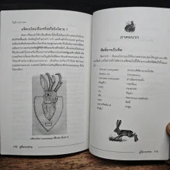 คู่มือกระต่าย The Rabbit Handbook - กณิกกนันท์ ลีฬวรรณ รูปที่ 10