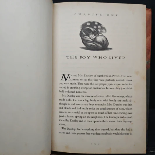Harry Potter And The Sorcerer's Stone - J.K.Rowling รูปที่ 8