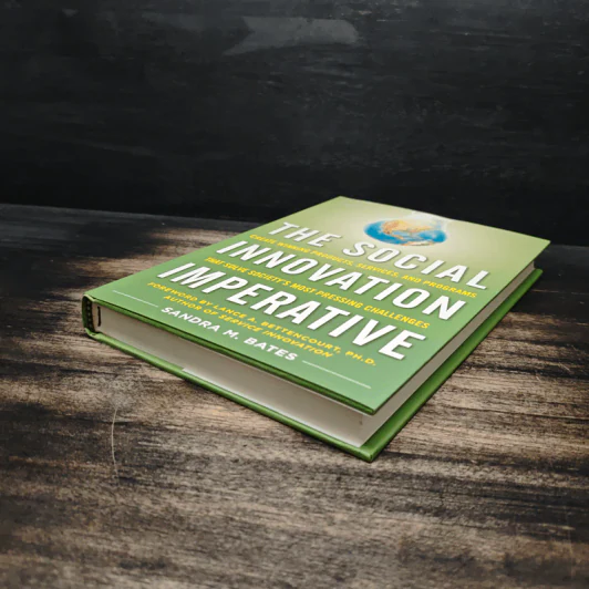 The Social Innovation Imperative - Sandra M. Bates รูปที่ 4