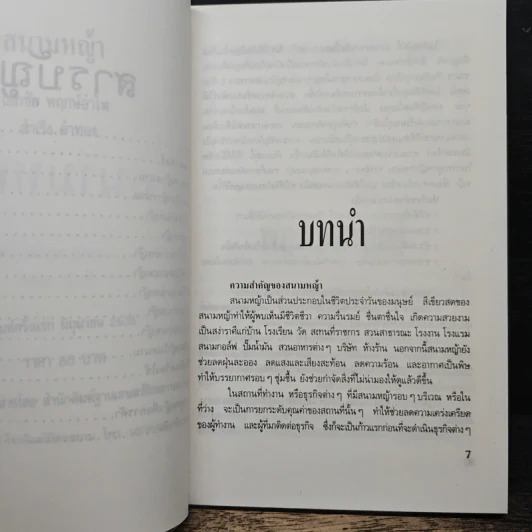 สนามหญ้า - เอกชัย พฤกษ์อำไพ, สำเริง คำทอง รูปที่ 7