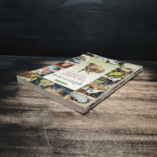คู่มือกระต่าย The Rabbit Handbook - กณิกกนันท์ ลีฬวรรณ รูปที่ 5